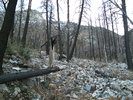 photo thumbnail #15