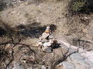 photo thumbnail #1
