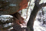 photo thumbnail #3