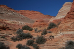 photo thumbnail #7