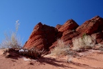 photo thumbnail #12