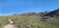 photo thumbnail #2