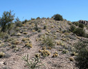 photo thumbnail #14