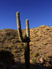 photo thumbnail #4
