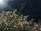 photo thumbnail #5
