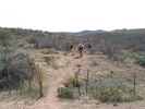 photo thumbnail #7