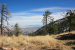 photo thumbnail #7