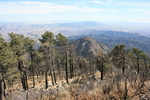 photo thumbnail #9