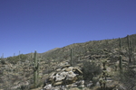 photo thumbnail #1
