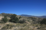 photo thumbnail #7