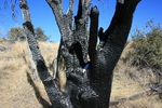 photo thumbnail #10