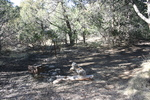 photo thumbnail #13