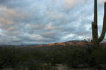 photo thumbnail #9
