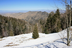 photo thumbnail #1