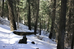 photo thumbnail #2