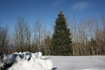 photo thumbnail #9