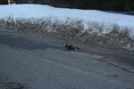 photo thumbnail #10