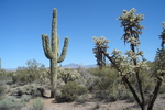 photo thumbnail #5