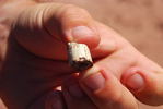 photo thumbnail #10
