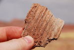 photo thumbnail #12
