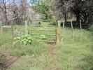 photo thumbnail #5
