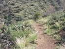 photo thumbnail #7