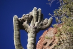 photo thumbnail #9