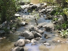 photo thumbnail #13