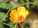 photo thumbnail #15