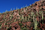 photo thumbnail #9