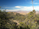 photo thumbnail #7