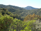 photo thumbnail #9