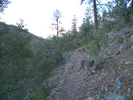 photo thumbnail #14