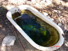 photo thumbnail #9
