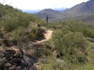 photo thumbnail #5