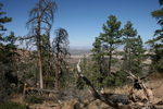 photo thumbnail #4