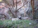 photo thumbnail #7