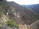 photo thumbnail #7