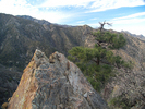 photo thumbnail #8