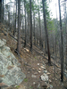 photo thumbnail #11