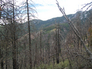 photo thumbnail #12