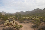 photo thumbnail #1