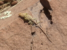 photo thumbnail #12