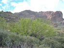 photo thumbnail #6