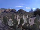 photo thumbnail #5