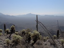 photo thumbnail #2
