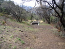 photo thumbnail #13