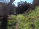 photo thumbnail #3