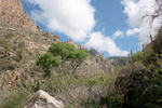 photo thumbnail #2