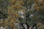 Featured Full Photo